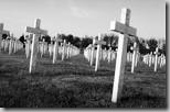 cimiteri